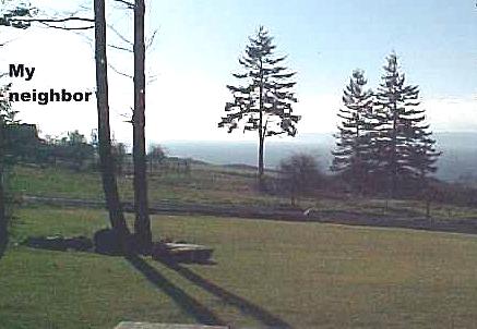 view to neighbor